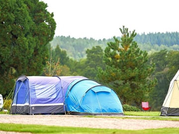 Grass tent pitches