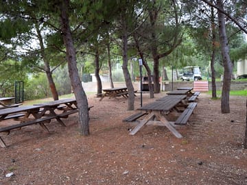 Area barbecue