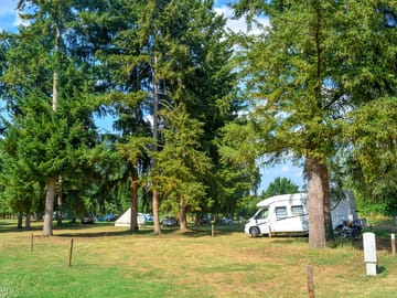 Pitches among the trees