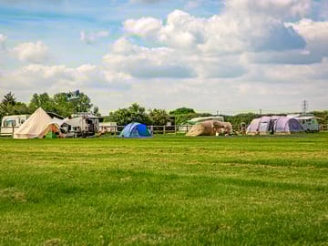 Grass pitches
