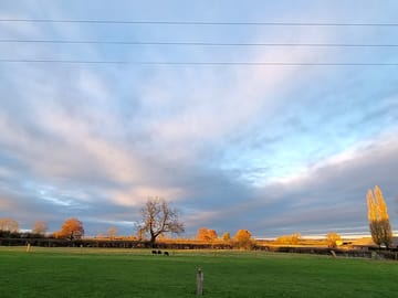 View from the site