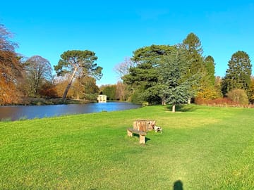 Lake views on site