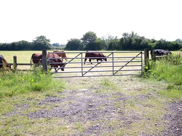 Barn field entrance