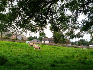 The old chapel seen from the field