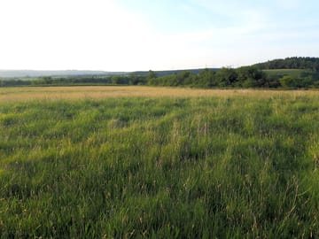 The pitching field