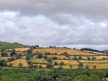 A view of the farm from across the valley... each tent with a field to itself