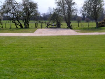 Pitches by the trees