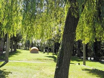Spacious pitches shaded by trees