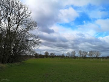 View of the field in march