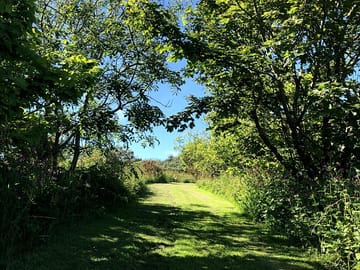 Around the site