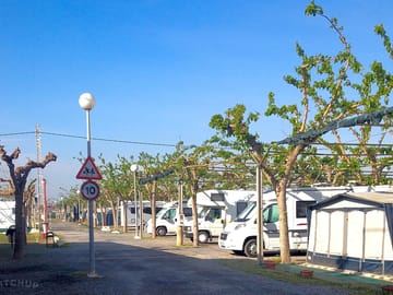 Pitches among the trees
