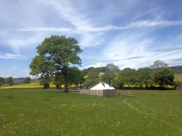 A clear sky over the yurt