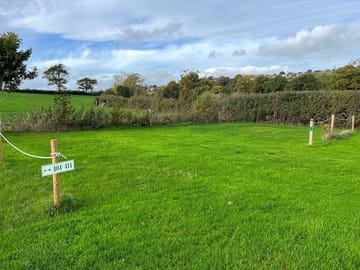 Electric grass pitch