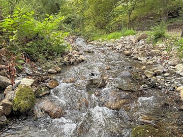 River passing camping site