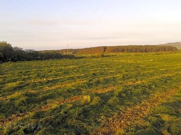Camping field