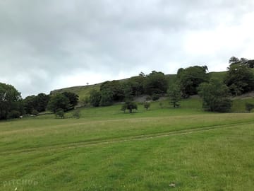 Camp in a wildflower meadow