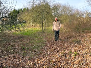 Nearby walks