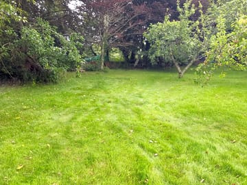 Grass pitch in the south-east part of the garden