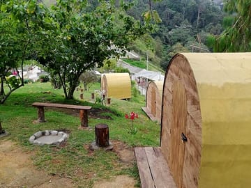 Pods