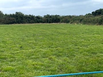 Wild camping site