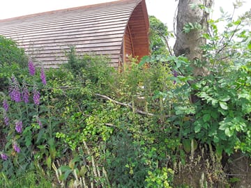 Wildlife haven