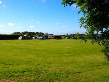 Tent field