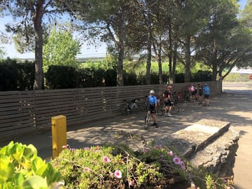Bike rental