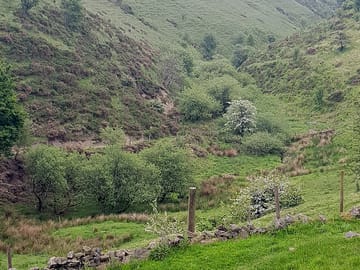 The valley