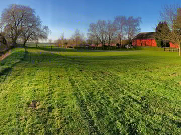 Pitches in the paddock