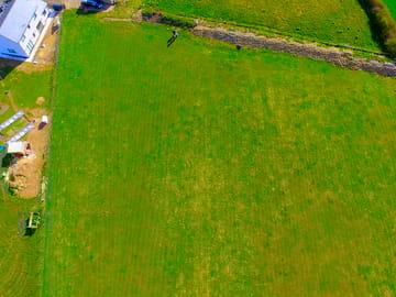 Green and grassy area