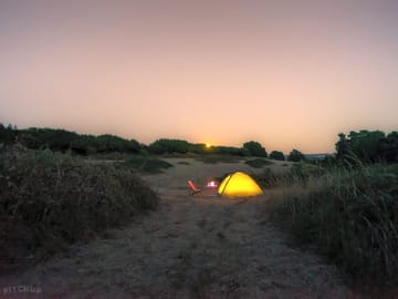 The lower field at night