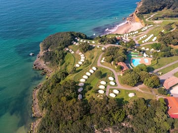 Aerial shot of the site