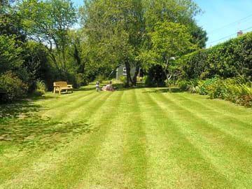 Our paddock