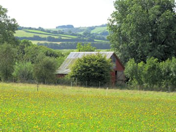 A view from the wildflower meadow