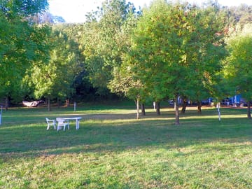 View of the site
