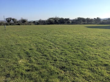 Grass pitches