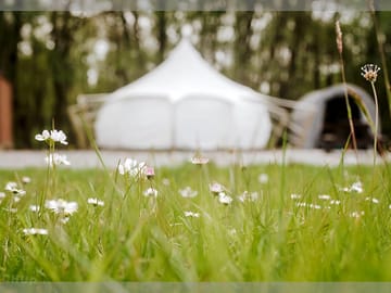 Bell tent