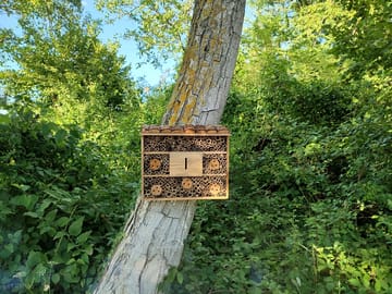 Bug box in the gardens