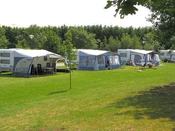 Grass pitches surrounded by trees