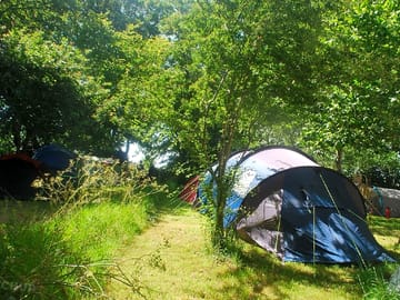 Grass pitch among the trees