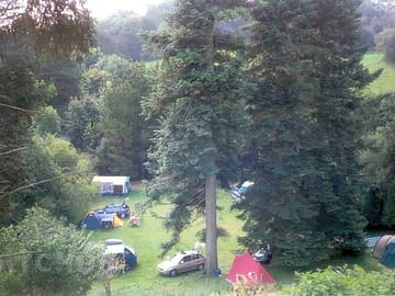 View across the trees to our spring fed stream.