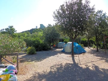 Spacious pitches with trees for shade
