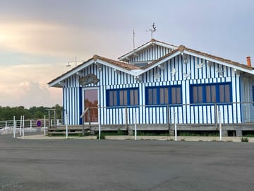 Around the area