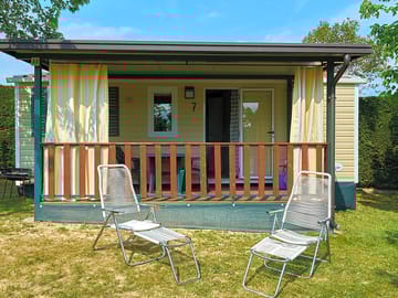 External