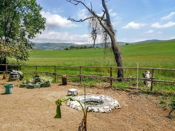 Fire pit