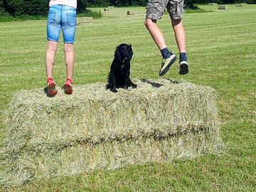Haymaking season