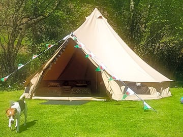 Bramble bell tent
