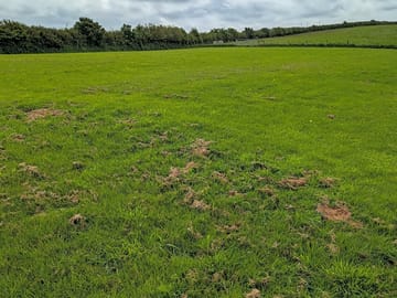 Plenty of room on the camping field
