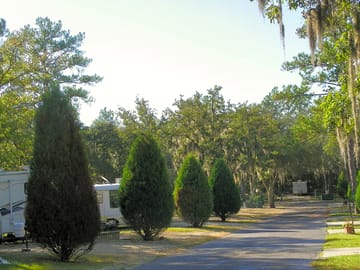 Beautiful paved roads throughout the park
