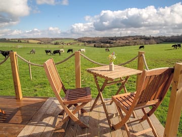 Sit back and watch the cows peacefully munching the grass nearby